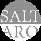 Salt Translations Avatar